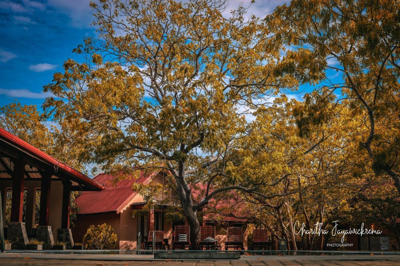 Yala Chalets By Lalan Leisure Kirinda  Kültér fotó