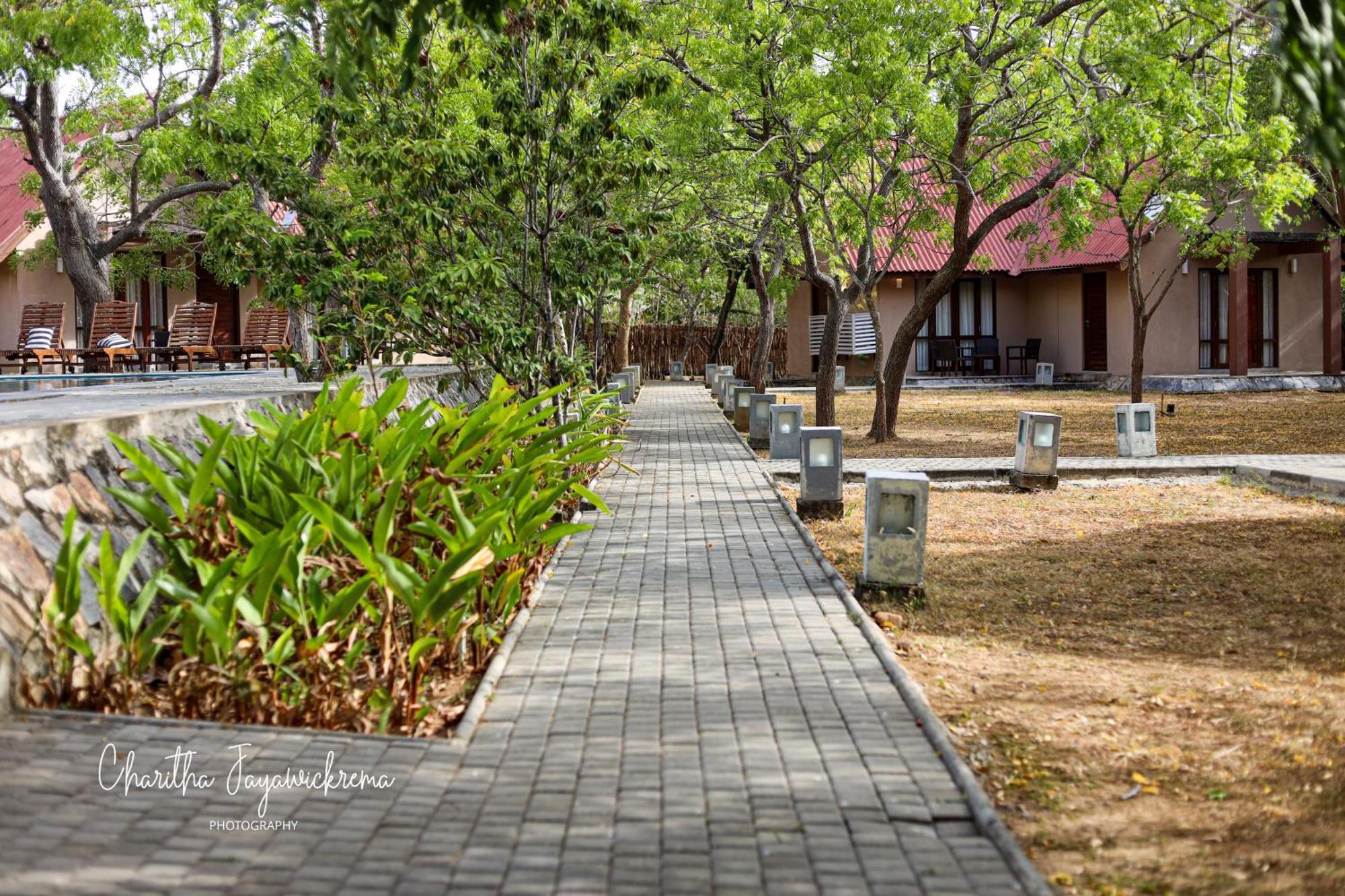 Yala Chalets By Lalan Leisure Kirinda  Kültér fotó